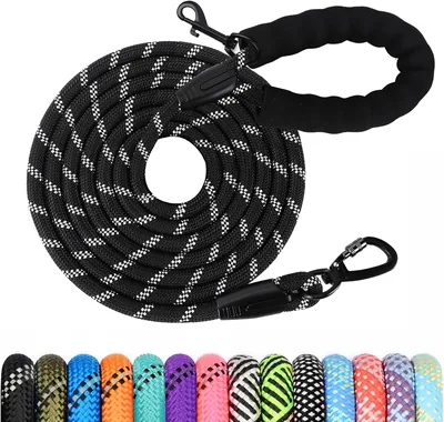 Laisse de dressage pour chien, 1,2M à 30M, avec poignée rembourrée - Économisez 5% sur Amazon