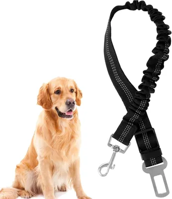 Redamancy Dog Seat Belts - Best Deal
