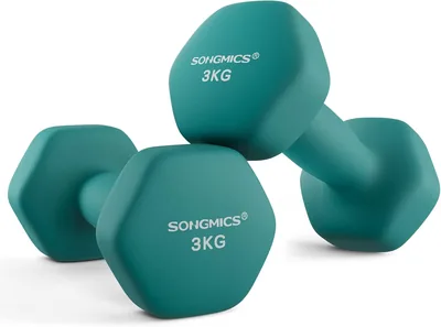 SONGMICS Hex Dumbbells 2 Pcs Neoprene - Best Deal