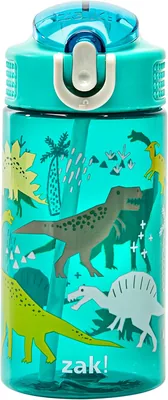 Zak Designs Kids Water Bottle, 16oz Durable Plastic Bottle with Straw and Handle