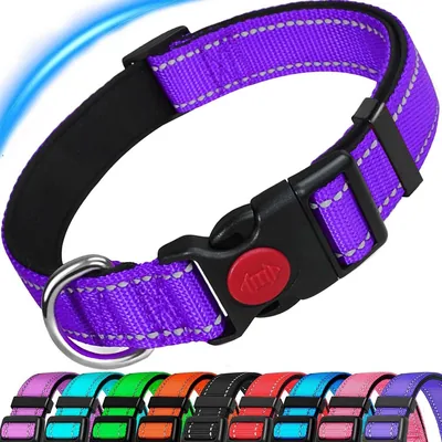 ATATEO Dog Collar Purple S/M/L Best Deal