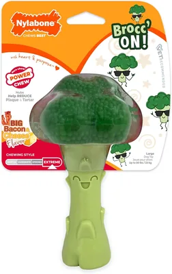 Nylabone Broccoli Dog Toy - Aggressive Chewer's Dream