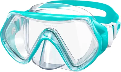 Findway Taucherbrille Kinder, Schnorchelmaske für Jungen & Mädchen, Tauchmaske mit Nasenabdeckung - Best Deal