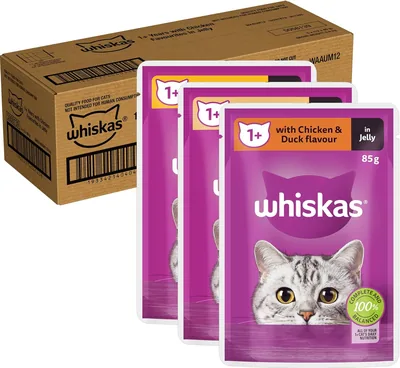 WHISKAS Wet Cat Food Chicken Jelly 85g x 60 Best Deal