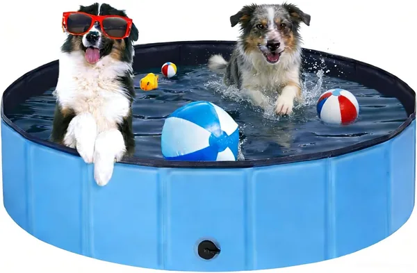 Ezilif Hundepool für kleine und große Hunde, zusammenklappbarer Hundepool, rutschfest, 80 x 20 cm Schwimmpool für Hunde, Verstärkter PVC, Paddel