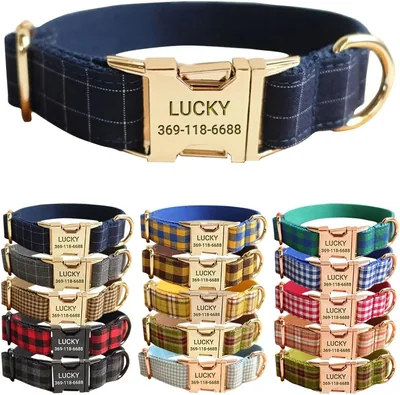 PETDURO Personalized Dog Collar Blue - Best Deal