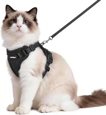 Rabbitgoo Katensleutel en Leash 150cm, Anti-Ontsnappingsriem voor Kat, Aanpasbare Riem, Reflecterende van Zacht en Bruin - Beste Deal
