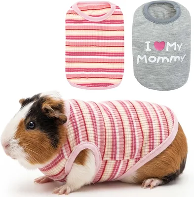 ALUZAEMO Guinea Pig Clothes - 2 Pack