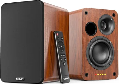 Saiyin Bluetooth Bookshelf Speakers Best Deal