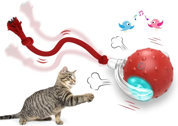 Giociv Interactive Cat Toys Ball for Indoor Cats Fast Rolling on Carpet, Chirping & Motion Activate Cat Toys