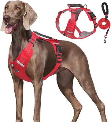 Pechera Arnés de Seguridad para Perro con Correa de 1.5m - Rojo (Tamaño M)
