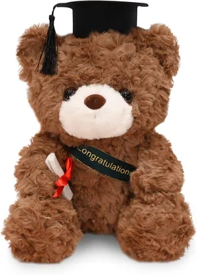 Exam Bear Teddy Plush Dier Afstuderen Geschenk Voor Vrouwenfeest