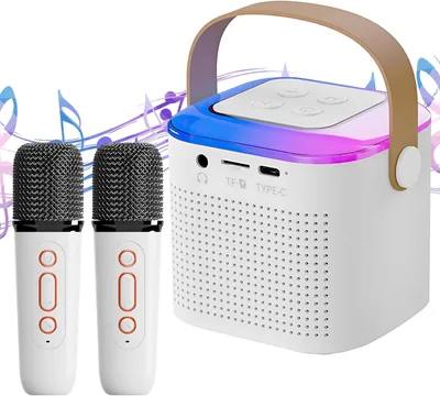 Sebami Máquina de Karaoke Profesional con Bocina y Micrófonos Inalámbricos, Bluetooth, Efectos Cambiantes - Mejor Oferta