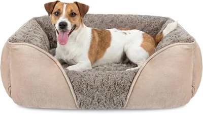 Lit pour chien JOEJOY, taille moyenne, lavable, 63 x 53 x 20 cm | Lit anti-anxiété et à soutien pour chien, antidérapant et lavable, doux
