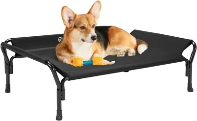 Veehoo Small Raised Dog Bed Guardrail Cot - Best Deal