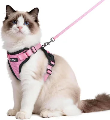 Rabbitgoo Katensport en Leash 150cm - Anti-Ontsnappingsharnas voor Kat, Verstelbaar, Reflecterend, Zacht en Ademend