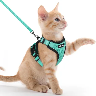 Rabbitgoo Katenharnas en Leash 150cm, Anti-Ontsnappingsharnas voor Katten, Verstelbaar en Reflecterend