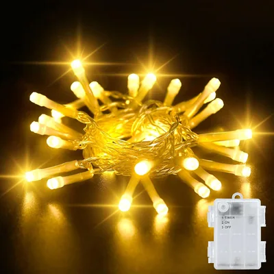 Dalugo Battery Fairy Lights 30 LED Warm White