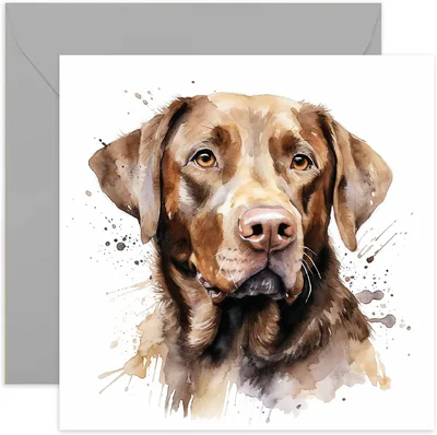 Old English Co. Watercolour Dog Card - Labrador Retriever Gift for Pet Lovers
