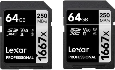 Lexar Professional 1667x SD-Karte 64GB (2er Pack) | UHS-II Memory Card mit bis zu 250 MB/s Lesegeschwindigkeit, Class 10, U3, V60