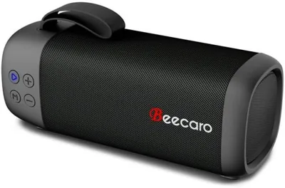 Pbuddy BEECARO GF401 Portable Bluetooth Boombox Best Deal