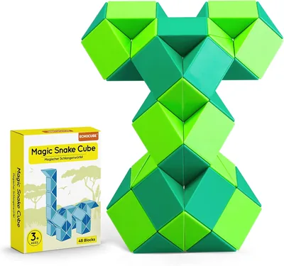 ECHOCUBE Snake Speed Cube Best Deal