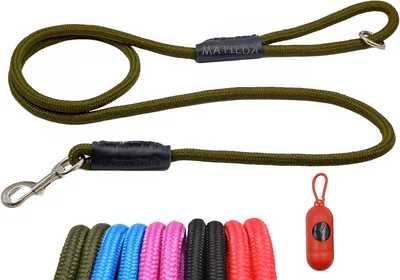 Correa Personalizable para Perro El Perro Inglés con Dispensador de Regalo, Diferentes Modelos (Entrenamiento y Paseo)