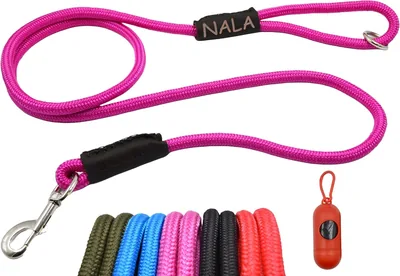 Correa Personalizable para Perro El Perro Inglés | Dispensador de Regalo