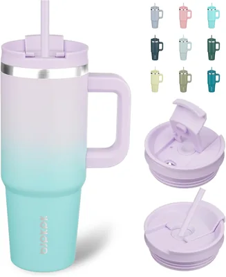BJPKPK Tumbler with Handle 30 oz Stainless Steel Insulated Tumbler Lavender Green Best Deal