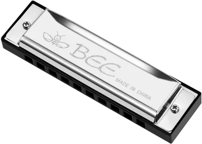 OFFCUP Harmonica diatonique 10 trous - C - Harmonica à 20 tons pour débutants avec sac de rangement