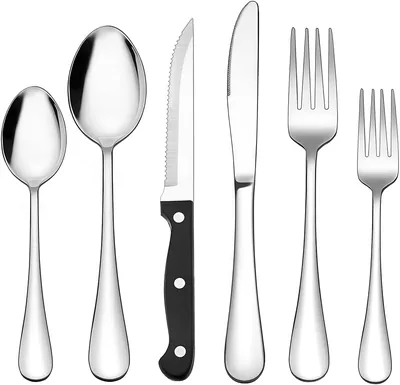 Raganet, Juego de 48 Cubiertos de Acero Inoxidable, Grado Alimenticio, para 8 Personas con Cuchillo de Carne y Normal - 35% Off