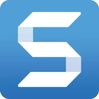 Snagit 2024 Screen Capture - Best Deal