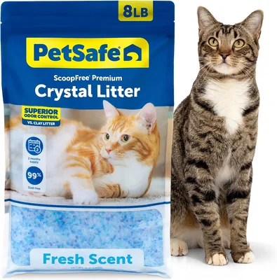 PetSafe ScoopFree Premium Litter Best Deal