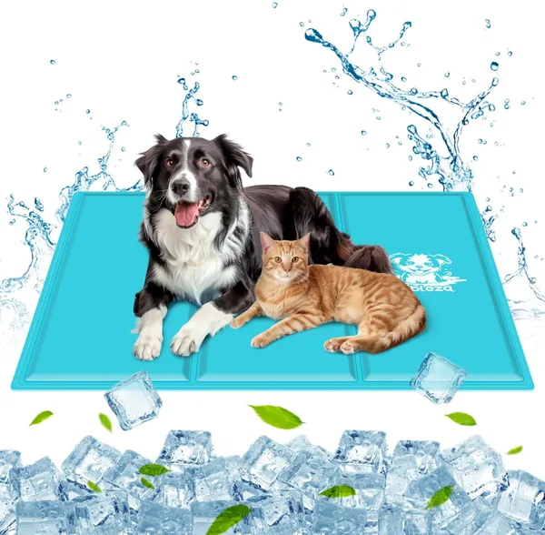 Tapis de refroidissement Nobleza pour chiens, 110 x 70 cm, Mat en gel non toxique auto-refroidissant, Animaux, Chat, Bleu, XL - Meilleur Prix