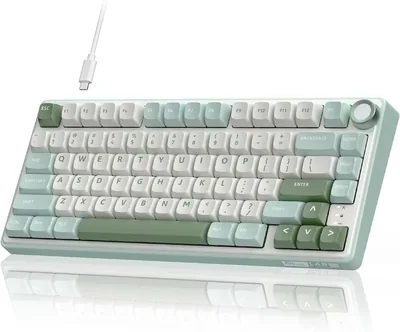 RK ROYAL KLUDGE R75 Mechanical Keyboard - 75% RGB
