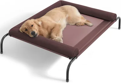 Cooling Elevated Dog Bed - Medium