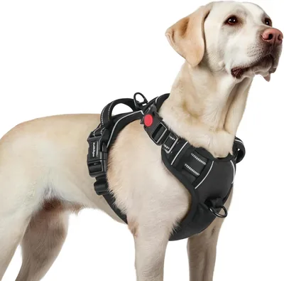 Harneis Rabbitgoo pour Chien avec 3 Crochets, Facile à Mettre et Retirer, Harneis Anti-Tir avec Poignée et Fermeture Avant