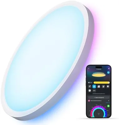 Govee Smart Ceiling Light Best Deal