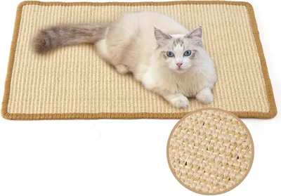 Fukamaru Kattraskmat, 60x40 cm Natürligt Sisal Traskmat, Horisontell Traskmat för Gulper, Skyddar Flöden och Teppner
