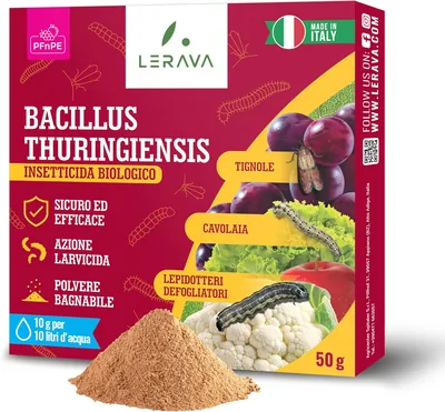 LERAVA Bacillus Thuringiensis Kurstaki (50g) - Insetticida Organico per Piante - Effetto Larvicida Contro i Brucoli, Cavolo - 94% di Sconto