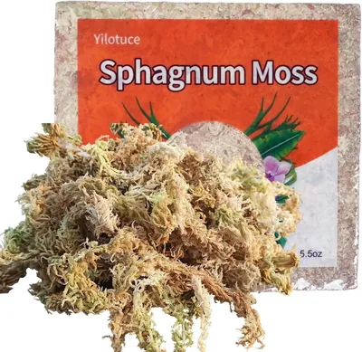 Yilotuce Sphagnum Moss 155g - Best Deal