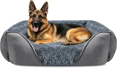 JOEJOY Dog Säng XXL – 7% Avrinkad Pris! Komfortlig och Stödande för Storlaffade Hundar