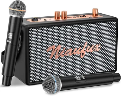 Retro Karaoke Machine Bluetooth Speaker - 2 Mic, PA System