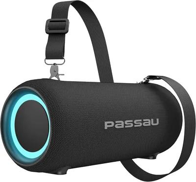 Passau Portable Bluetooth Speakers Best Deal