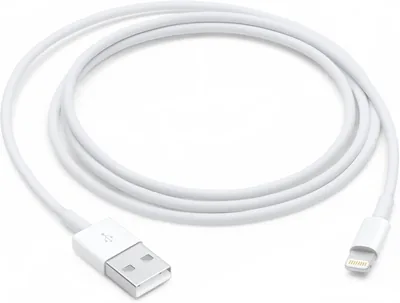 Apple Lightning auf USB Kabel (1m)
