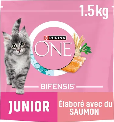 PURINA ONE Junior Chat 1 à 12 mois, Fait avec du saumon sélectionné 1.5 kg - Croquettes pour chatons