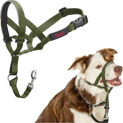 Halti Head Collar - 54% Korting! Reflecterend en Licht, Verstelbaar voor Comfortabel Leash Beheersing