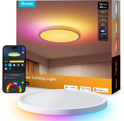 Govee RGBIC Smart Deckenleuchte, 24 W, Durchmesser 30 cm, LED Dimmbare Deckenbeleuchtung | Intelligente LED-Deckenleuchte mit 16 m DIY-Kabel