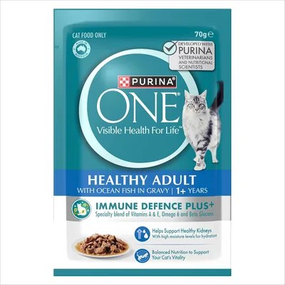 PURINA ONE Adult Wet Cat Food Oceanfish Pouch Best Deal