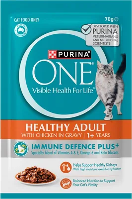 PURINA ONE Adult Wet Cat Food Chicken Gravy Pouch Best Deal